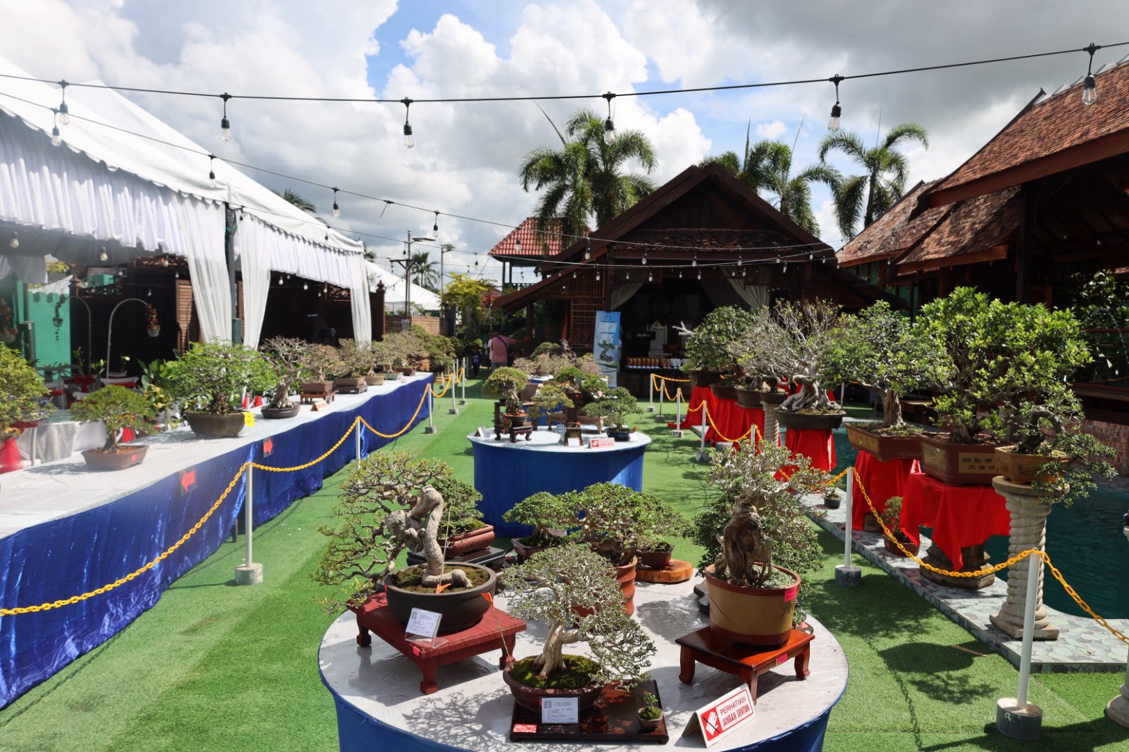PERTANDINGAN & PAMERAN BONSAI PERINGKAT KEBANGSAAN 2025